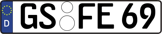 GS-FE69