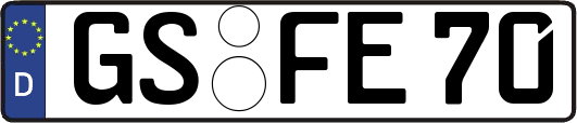 GS-FE70