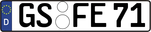 GS-FE71