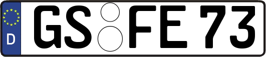 GS-FE73