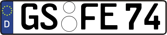 GS-FE74