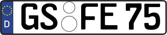 GS-FE75