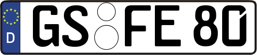 GS-FE80