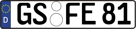 GS-FE81