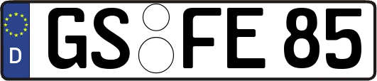 GS-FE85