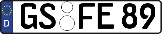 GS-FE89