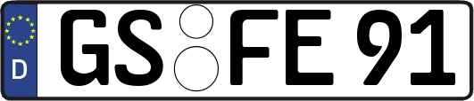 GS-FE91