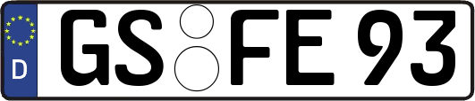 GS-FE93