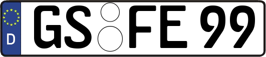 GS-FE99