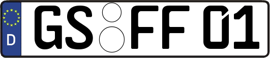 GS-FF01