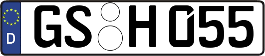 GS-H055