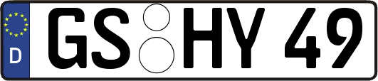 GS-HY49