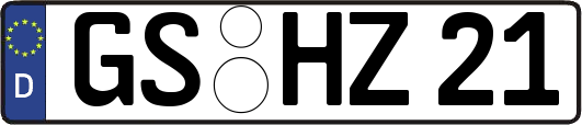 GS-HZ21