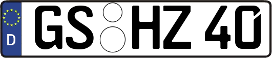 GS-HZ40
