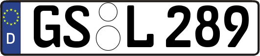 GS-L289