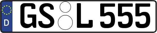 GS-L555