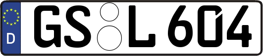GS-L604