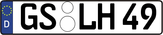 GS-LH49