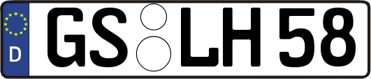 GS-LH58