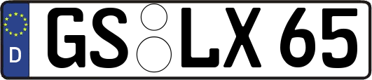 GS-LX65