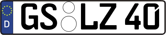 GS-LZ40