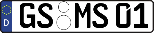 GS-MS01