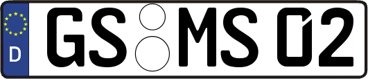 GS-MS02