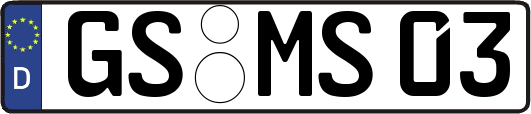 GS-MS03