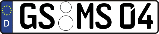 GS-MS04