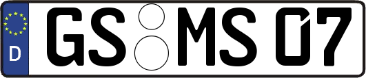 GS-MS07