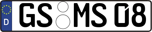 GS-MS08