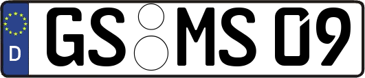 GS-MS09