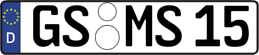 GS-MS15