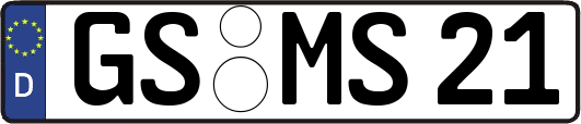GS-MS21