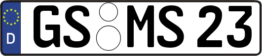 GS-MS23