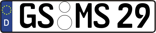 GS-MS29