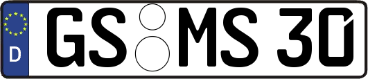 GS-MS30