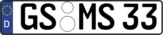 GS-MS33