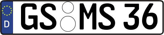 GS-MS36