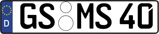 GS-MS40