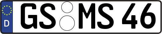 GS-MS46