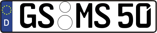 GS-MS50