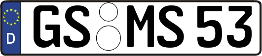 GS-MS53