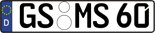 GS-MS60