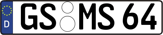 GS-MS64
