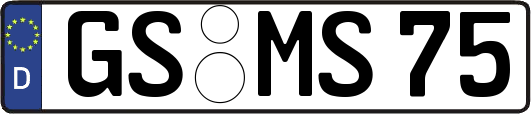 GS-MS75