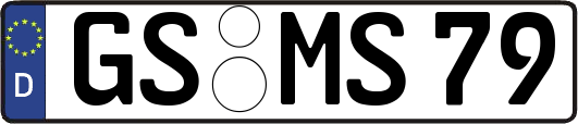 GS-MS79
