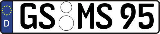 GS-MS95