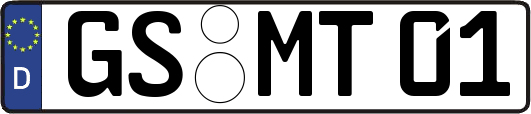 GS-MT01