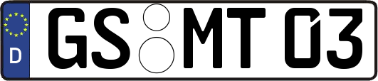 GS-MT03